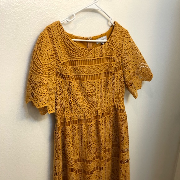 Piper and Scoot Mustard Lace Dress - Picture 1 of 3